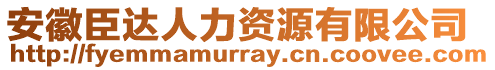 安徽臣達(dá)人力資源有限公司