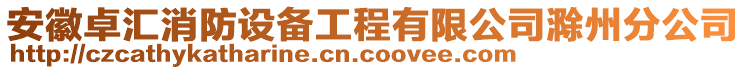 安徽卓匯消防設(shè)備工程有限公司滁州分公司