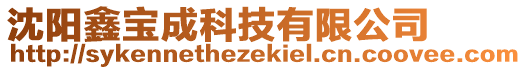 沈阳鑫宝成科技有限公司