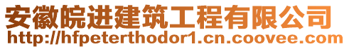 安徽皖进建筑工程有限公司