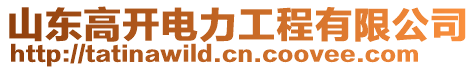 山東高開電力工程有限公司