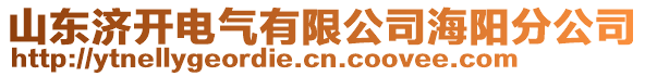 山東濟(jì)開電氣有限公司海陽分公司