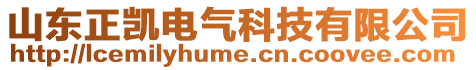 山東正凱電氣科技有限公司