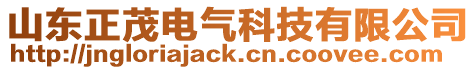 山東正茂電氣科技有限公司