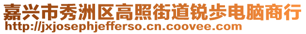 嘉興市秀洲區(qū)高照街道銳歩電腦商行