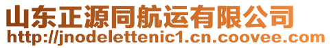 山東正源同航運有限公司