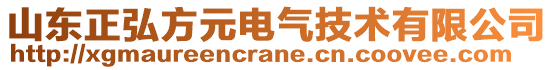 山東正弘方元電氣技術(shù)有限公司