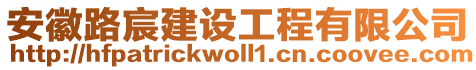 安徽路宸建設(shè)工程有限公司