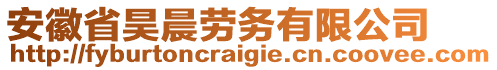 安徽省昊晨勞務有限公司