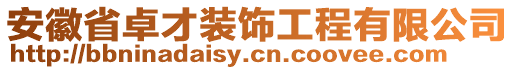 安徽省卓才裝飾工程有限公司