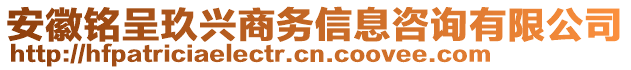 安徽銘呈玖興商務(wù)信息咨詢有限公司