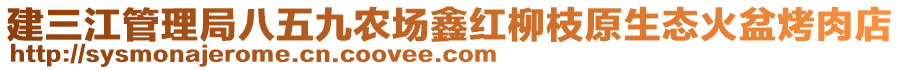 建三江管理局八五九农场鑫红柳枝原生态火盆烤肉店