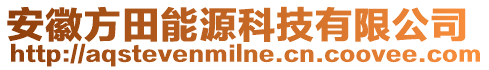 安徽方田能源科技有限公司