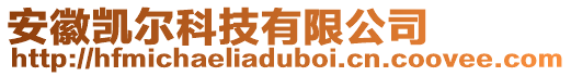 安徽凱爾科技有限公司