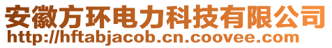 安徽方環(huán)電力科技有限公司