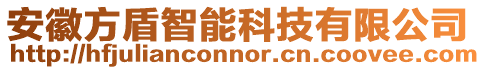 安徽方盾智能科技有限公司