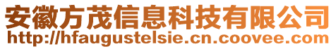 安徽方茂信息科技有限公司