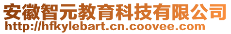 安徽智元教育科技有限公司