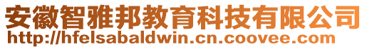 安徽智雅邦教育科技有限公司