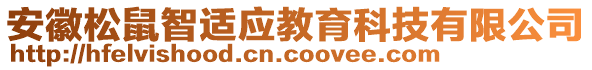 安徽松鼠智適應教育科技有限公司