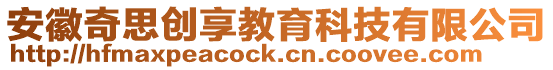 安徽奇思創(chuàng)享教育科技有限公司