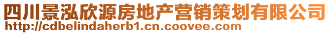 四川景泓欣源房地產營銷策劃有限公司