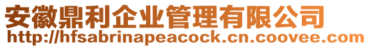 安徽鼎利企業(yè)管理有限公司