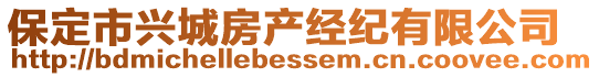 保定市興城房產經紀有限公司
