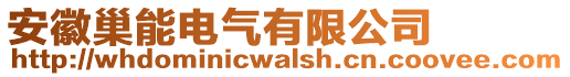 安徽巢能电气有限公司