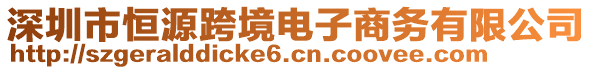 深圳市恒源跨境電子商務有限公司