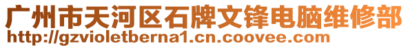 廣州市天河區(qū)石牌文鋒電腦維修部