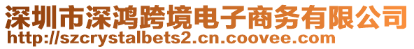 深圳市深鴻跨境電子商務(wù)有限公司