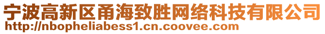 寧波高新區(qū)甬海致勝網(wǎng)絡(luò)科技有限公司