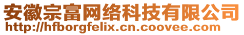 安徽宗富網(wǎng)絡(luò)科技有限公司