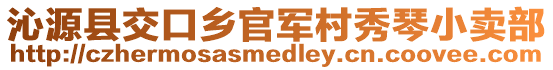 沁源县交口乡官军村秀琴小卖部