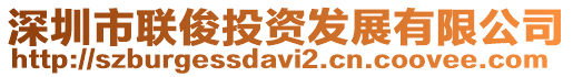 深圳市聯俊投資發展有限公司