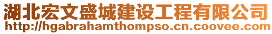湖北宏文盛城建設(shè)工程有限公司