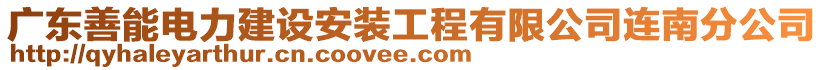 廣東善能電力建設安裝工程有限公司連南分公司