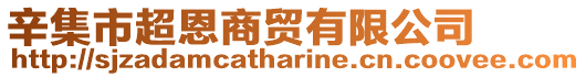 辛集市超恩商貿有限公司