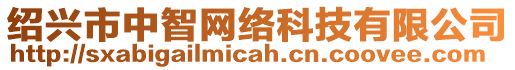 紹興市中智網絡科技有限公司