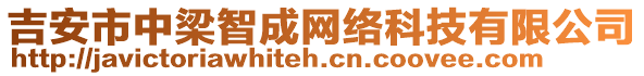 吉安市中梁智成網(wǎng)絡(luò)科技有限公司