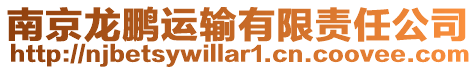 南京龍鵬運輸有限責任公司