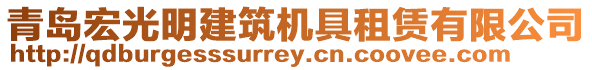 青島宏光明建筑機(jī)具租賃有限公司