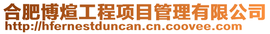 合肥博煊工程項目管理有限公司