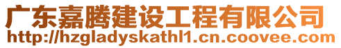 廣東嘉騰建設工程有限公司