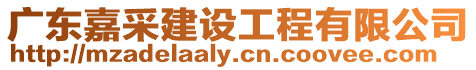 廣東嘉采建設工程有限公司