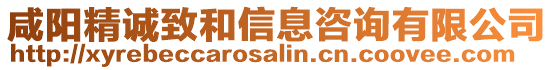 咸陽精誠致和信息咨詢有限公司