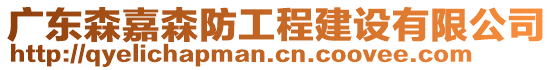 廣東森嘉森防工程建設(shè)有限公司