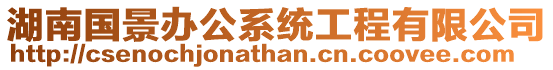 湖南國景辦公系統工程有限公司