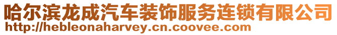 哈爾濱龍成汽車裝飾服務連鎖有限公司